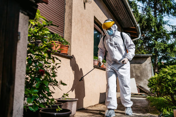 Best Wasp Removal Services  in Leander, TX