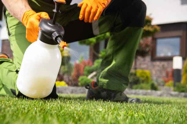 Best Rat Extermination Near Me  in Leander, TX