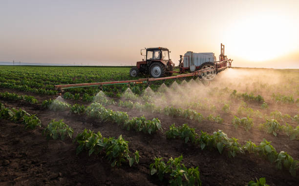 Professional Pest Control in Leander, TX