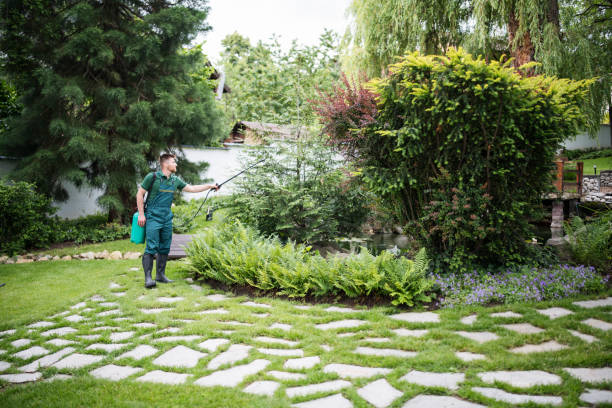 Best Best Pest Control Companies  in Leander, TX