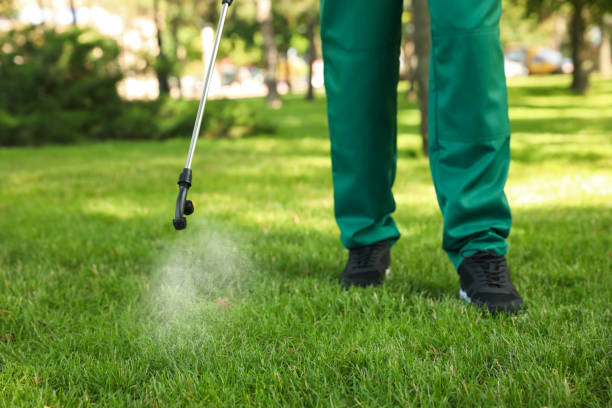 Best Affordable Pest Control Services  in Leander, TX