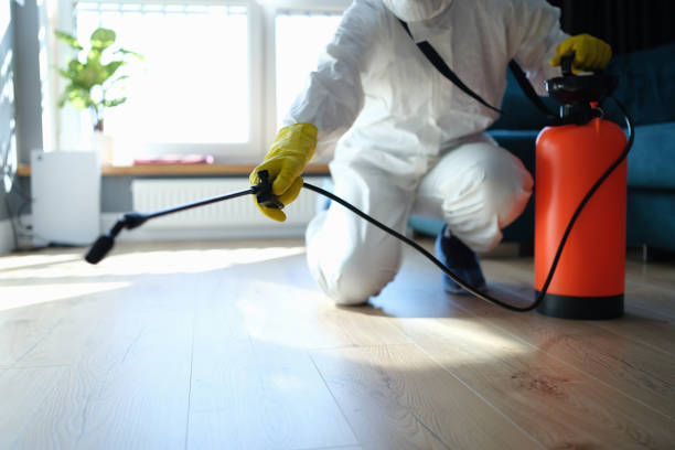 Best Pest Control Near Me in Leander, TX