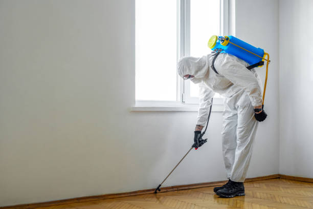 Insect Control in Leander, TX
