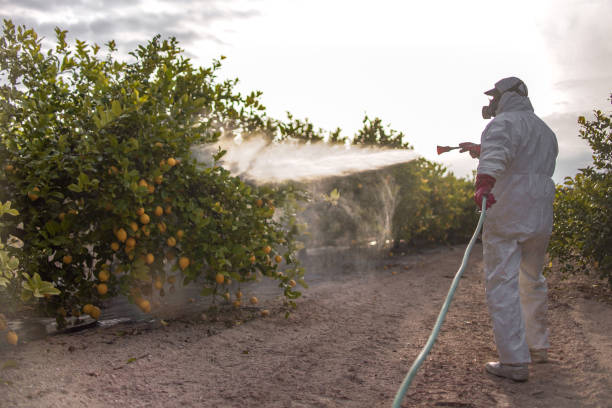 Best Exterminator Services  in Leander, TX