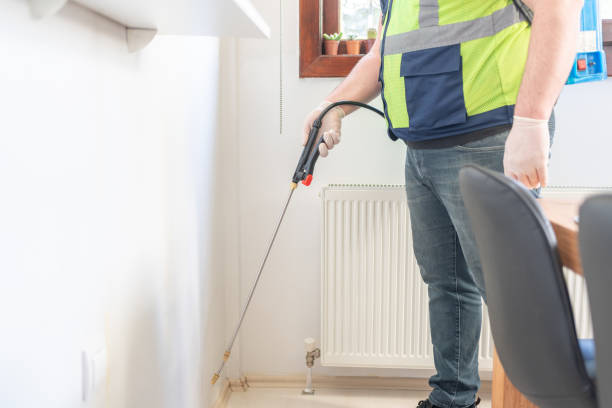 Best Local Pest Control Services  in Leander, TX