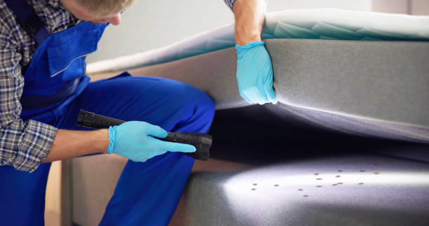 Best Affordable Pest Control Services  in Leander, TX