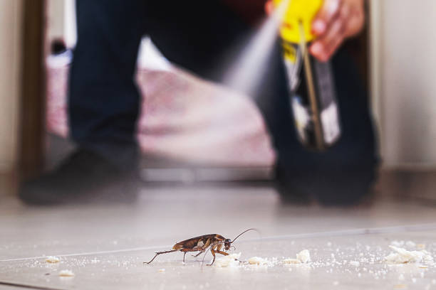 Best Affordable Pest Control Services  in Leander, TX