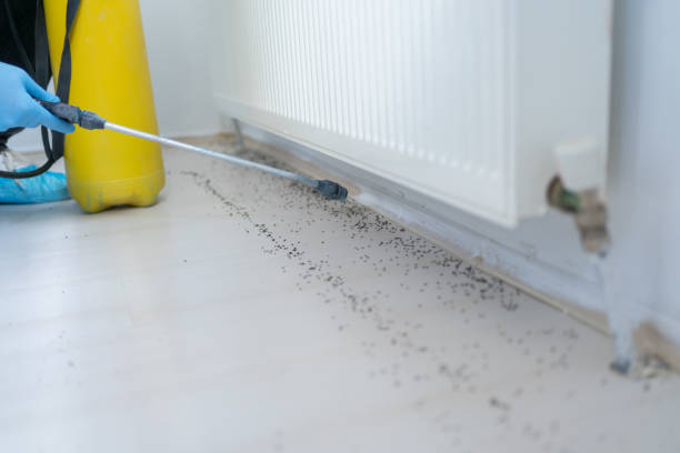 Best Best Pest Control Companies  in Leander, TX