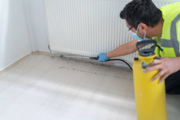 Best Emergency Pest Control  in Leander, TX