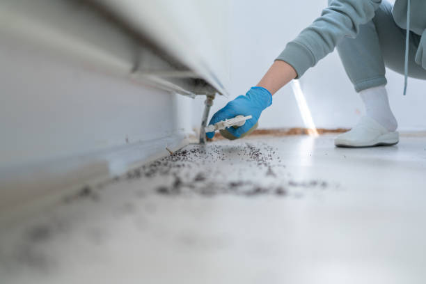 Best Pest Prevention Services  in Leander, TX